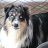 Mapat