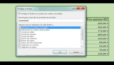 Partager les données d'un classeur en masquant des informations